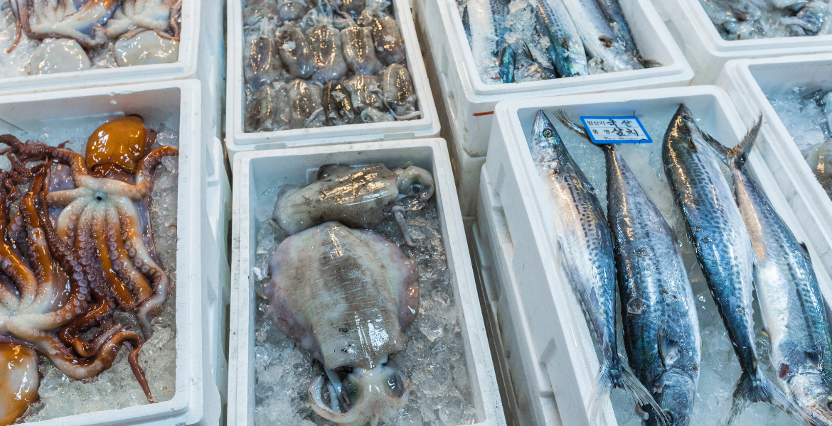 Balıkçılık ve Su Ürünleri Eğitimi   [50 AP / 30 CP / 100 PP]