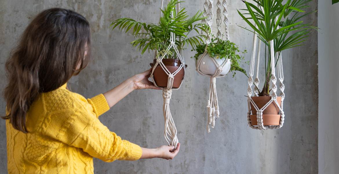 Süs Bitkileri Eğitimi   [50 AP / 30 CP / 100 PP]